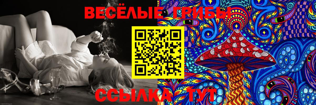 Курск  Галлюциногенные грибы Psilocybe  купить наркотики сайты  Вход с VPN 